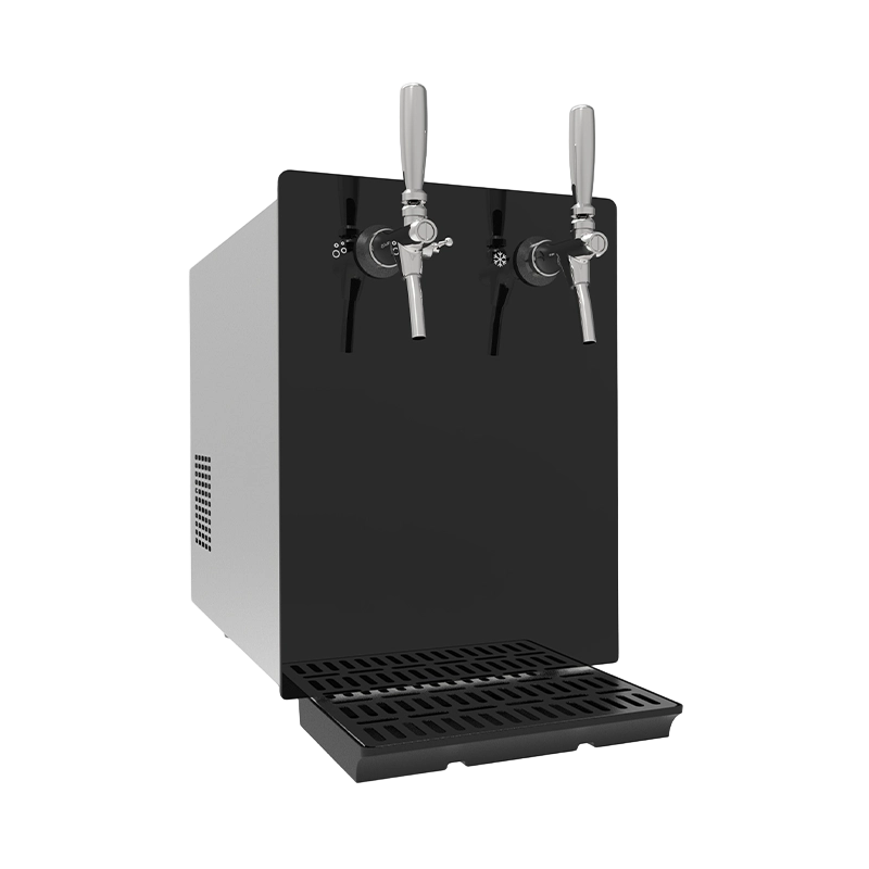 Système d'eau gazeuse/réfrigérée à double robinet de comptoir commercial BST60C